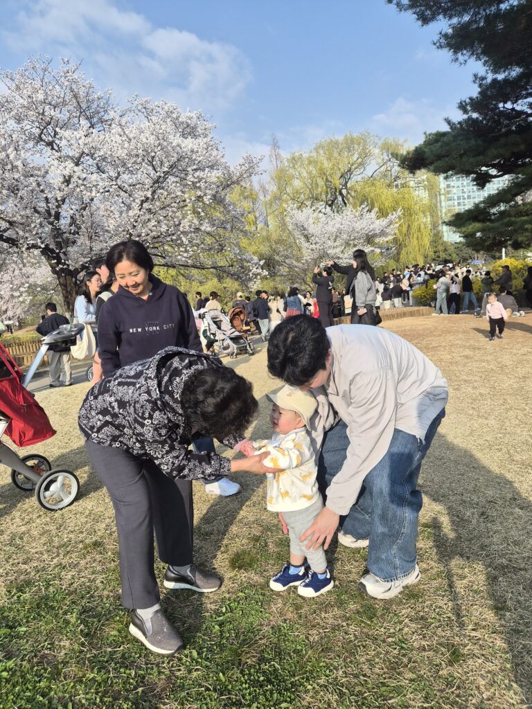 돌아기 일상