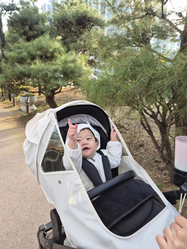 12개월 아기일상 벚꽃놀이