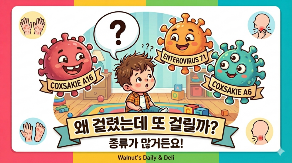 수족구 재감염